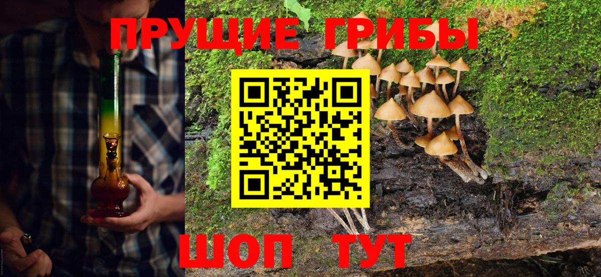 Псилоцибиновые грибы GOLDEN TEACHER  Вход с VPN  где продают наркотики  Джанкой 